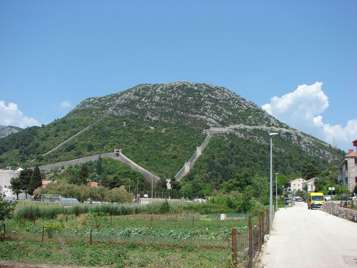 Putniković Iva Lavanda מראה חיצוני תמונה